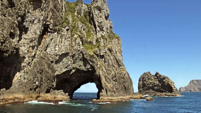 Der Elefant-Rock in der Bay of Islands nahe Paiha auf der Nordinsel Neuseelands.