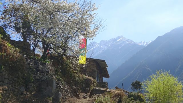 idyllisch gelegene Orte auf dem neuen Höhenpfad zwischen Khangjim und Lama Hotel