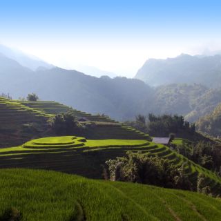 Mu Cang Chai – die schönsten Reisterrassen Vietnams