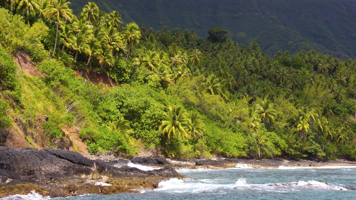 Die wilde Küste Polynesiens