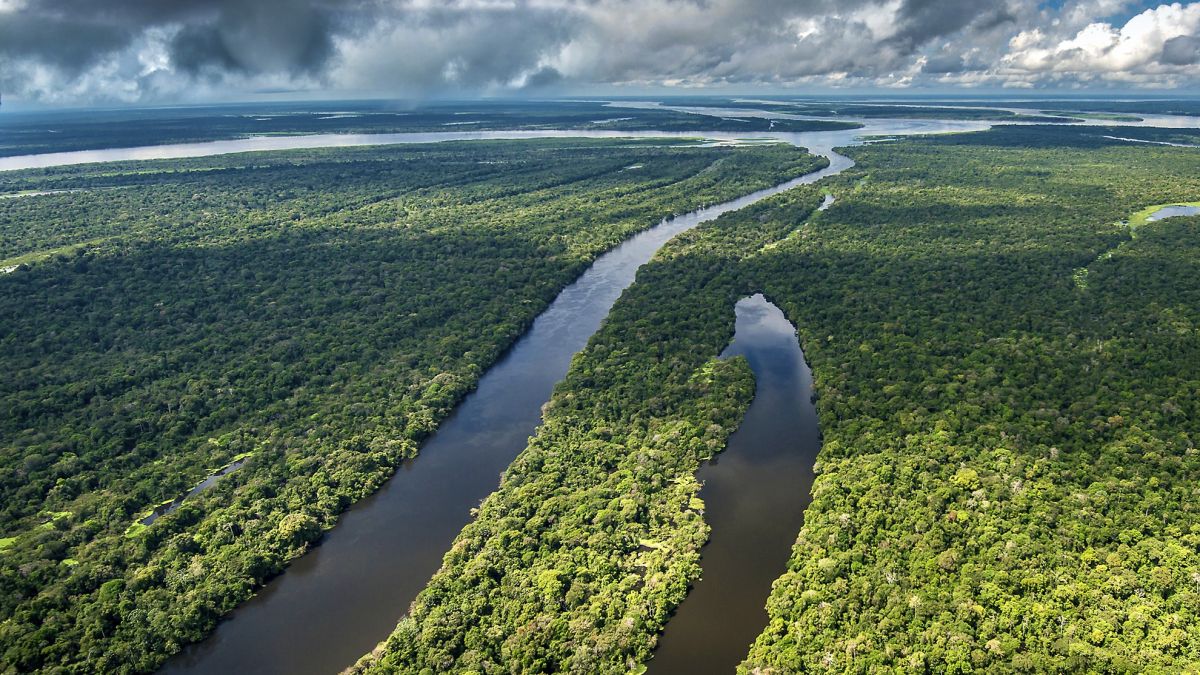 Blick über den Amazonasregenwald