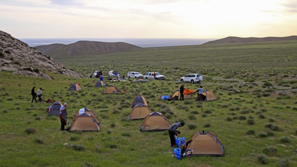 Camping auf idyllischem Terrain
