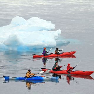 Im Kajak kann man fast lautlos zwischen den Eisbergen gleiten