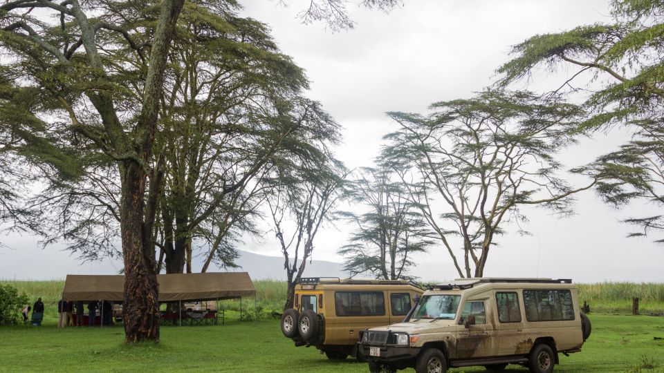 Privates Picknick mitten im Ngorongoro-Krater, Tansania