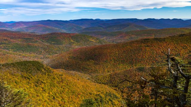 Blick vom Slide Mountain, Ulster County, Catskill Region, New York State