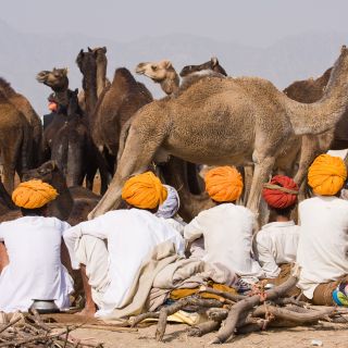 Rajasthanis während der Pushkar Mela