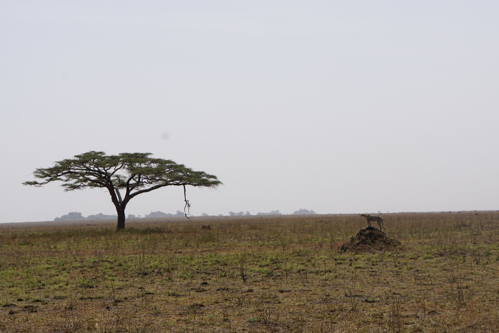 Unterwegs auf Erkundungstour in Tansania
