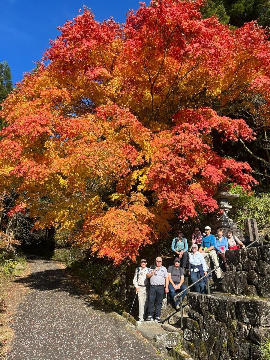 Die Reisegruppe auf einer Treppe, unter einem Herbstlaubbaum