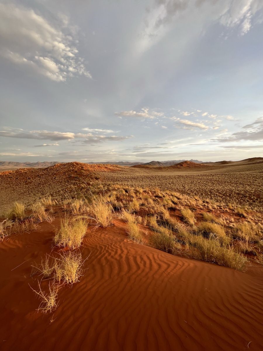 Namib-Naukluft-Nationalpark