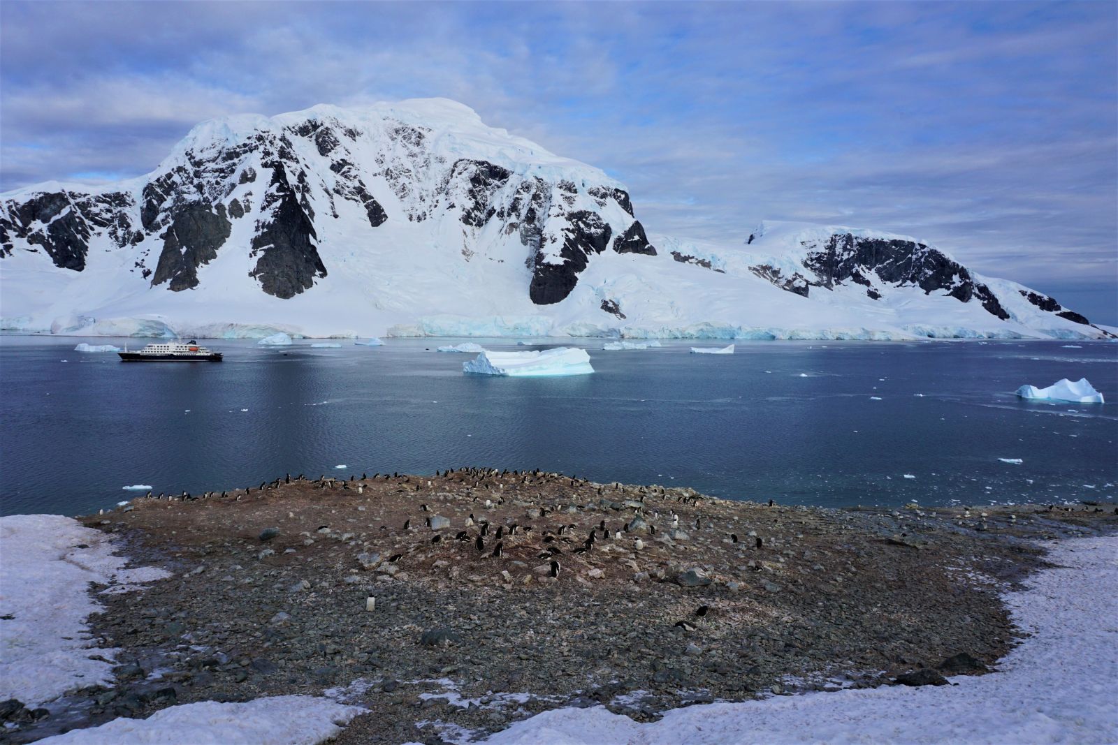 Die Antarktische Halbinsel: Pinguine, Berge und Eis