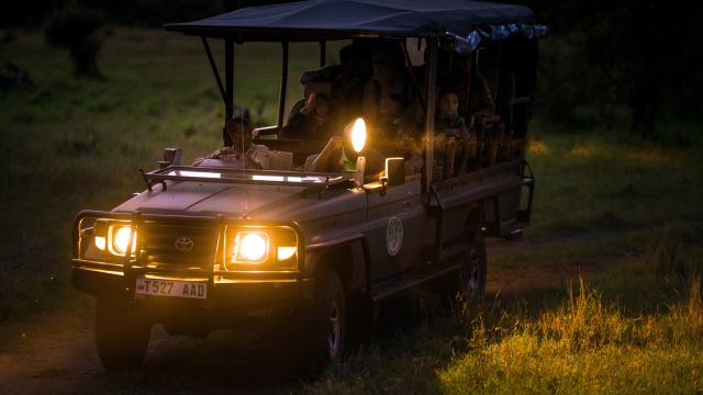 Auf Nachtpirschfahrt im E-Safarifahrzeug