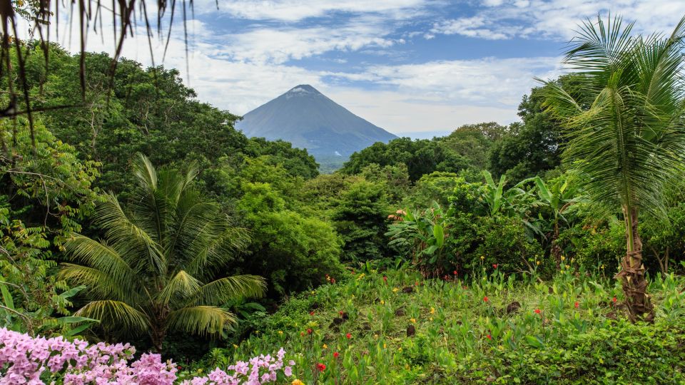 Vulkan Concepción mit Dschungel und Blumen