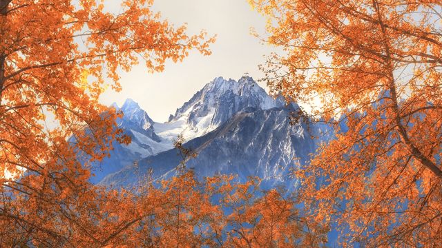 Herbstlaub rahmt die Gipfel des Kluane NP ein