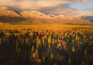 Goldener Herbst im Yukon