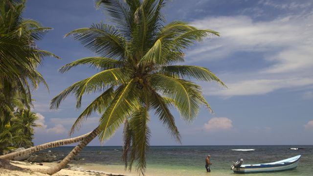 Traumstrand-Kulisse auf den San Blas Inseln