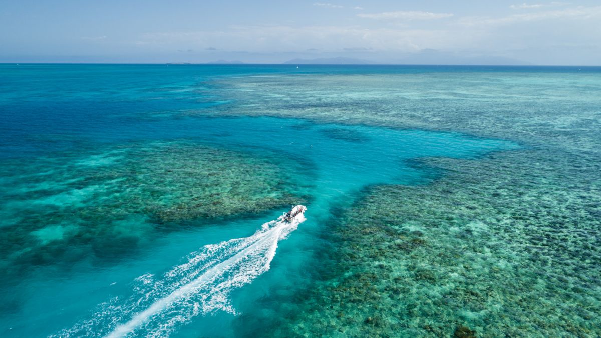 Luftaufnahme vom Great Barrier Reef bei Cairns