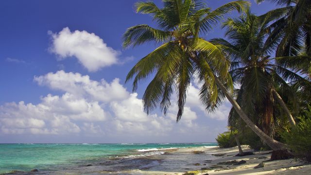 Am Traumstrand von San Andres wehen über Ihnen die Kokospalmen, während das Wasser in türkis-blauen Farben zum Baden einlädt.