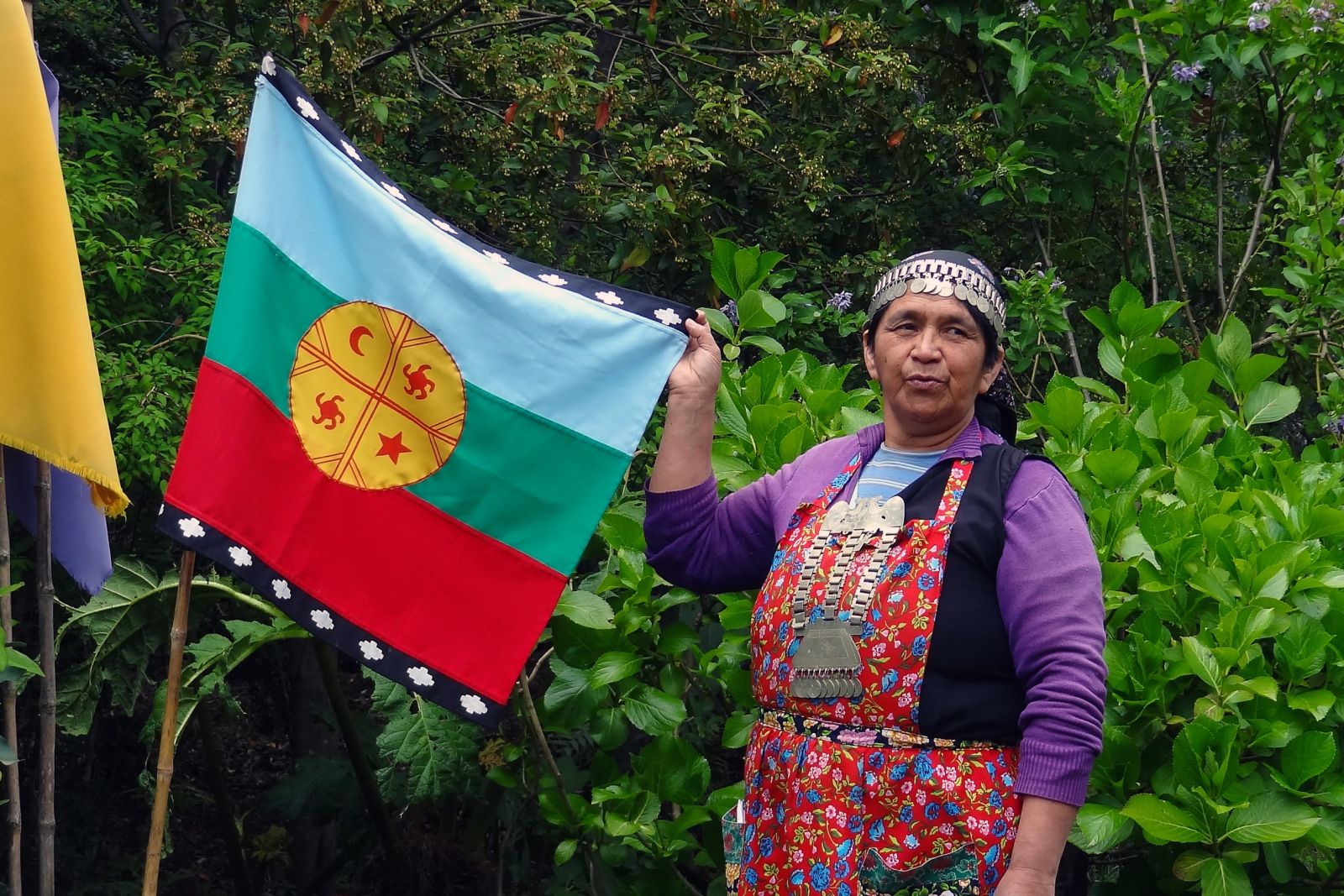 Mapuche-Indigena