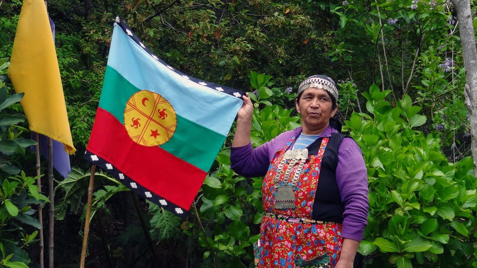 Mapuche-Indigena