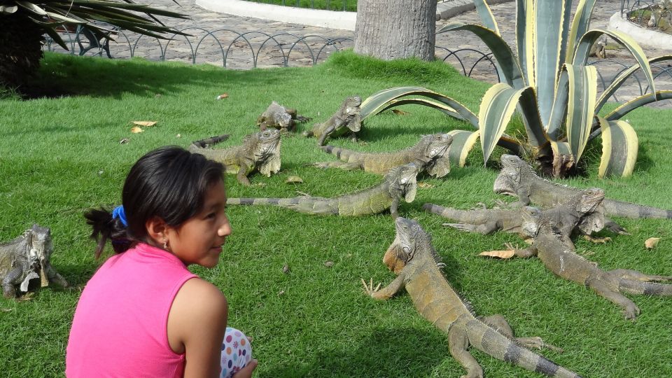 Stadtpark in Guayaquil mit Leguanen