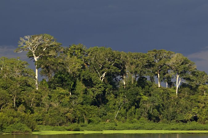 Amazonasgebiet © Diamir