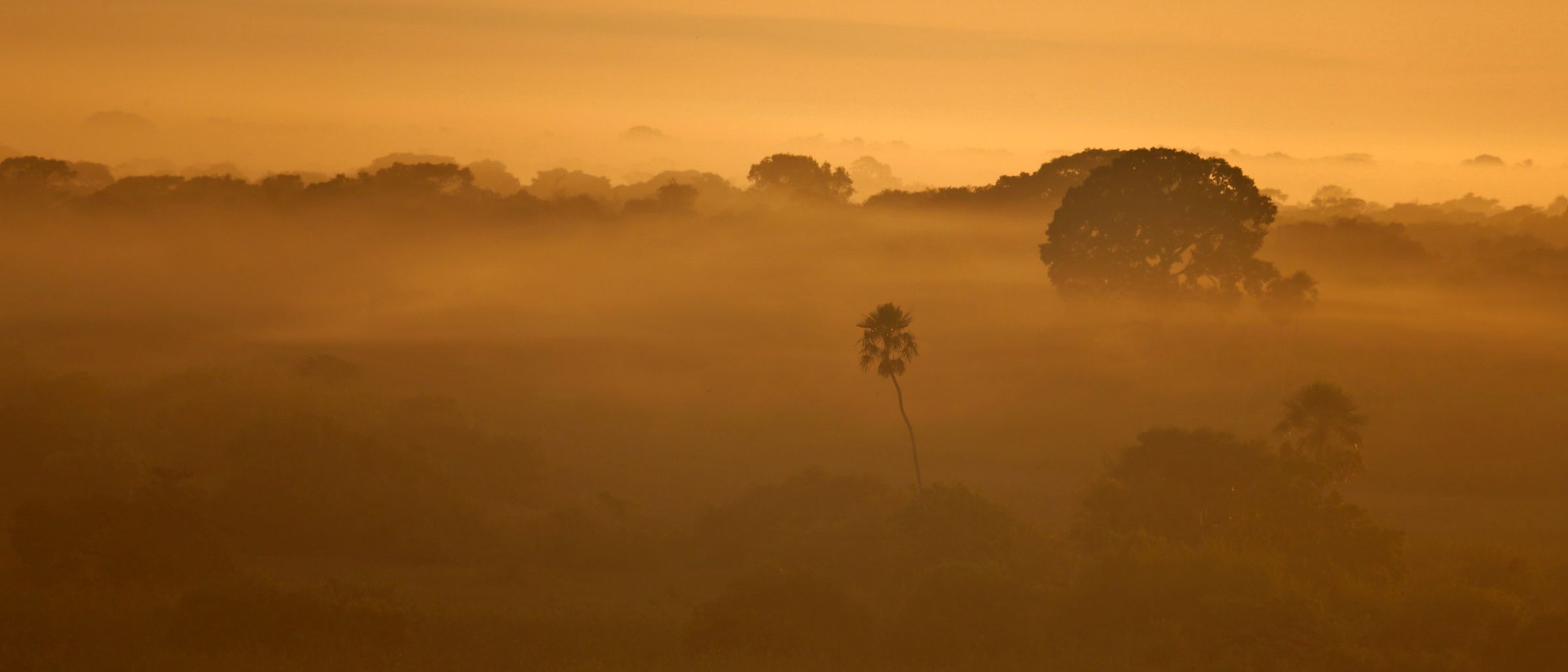 Landschaft im Pantanal