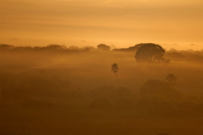 Landschaft im Pantanal