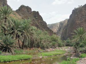 Wadi Derhur