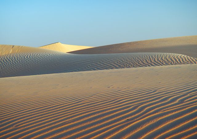 In der Wüste Mauretaniens