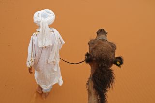 Blick aus der Kamelperspektive