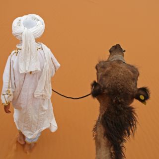 Blick aus der Kamelperspektive