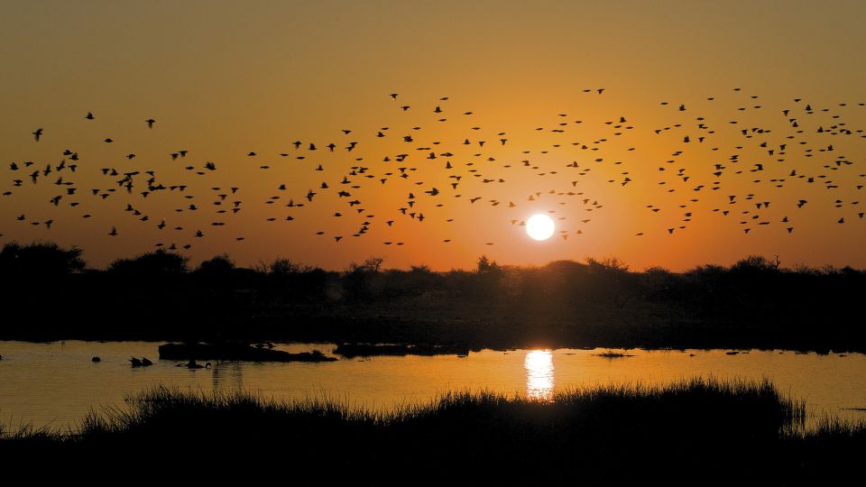 Abendstimmung über dem Okavango-Fluss
