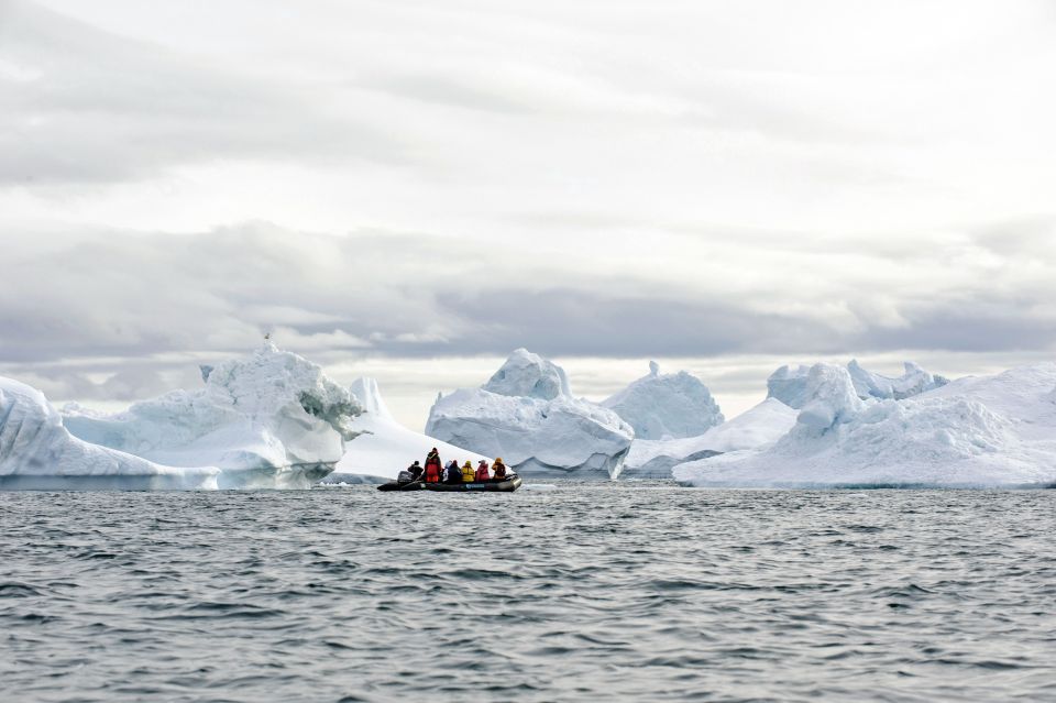 Zodiactour rund um skurril geformte Eisberge