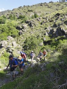 Gruppenwanderung im Alpujarrasgebirge