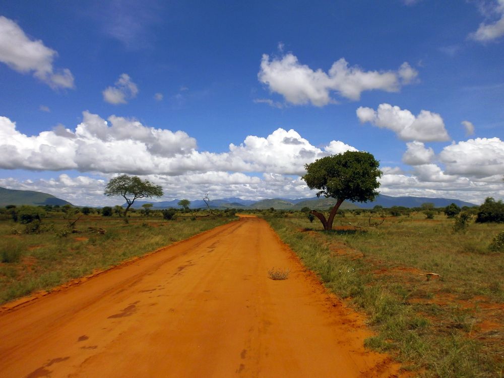 Weite Landschaft im Tsavo East Nationalpark