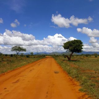 Weite Landschaft im Tsavo East Nationalpark
