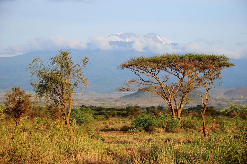 Savanne vor dem mächtigen Kilimanjaro