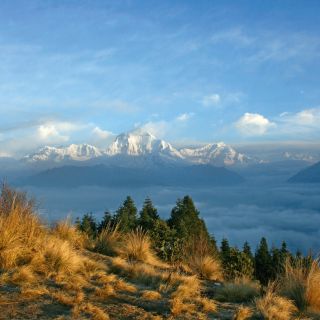 Blick vom Poon Hill auf Dhaulagiri (8167 m)