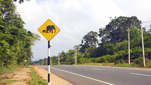 Straßenschild auf dem Weg von Colombo nach Dambulla