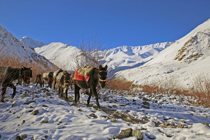 Winterlandschaft in Ladakh © Diamir