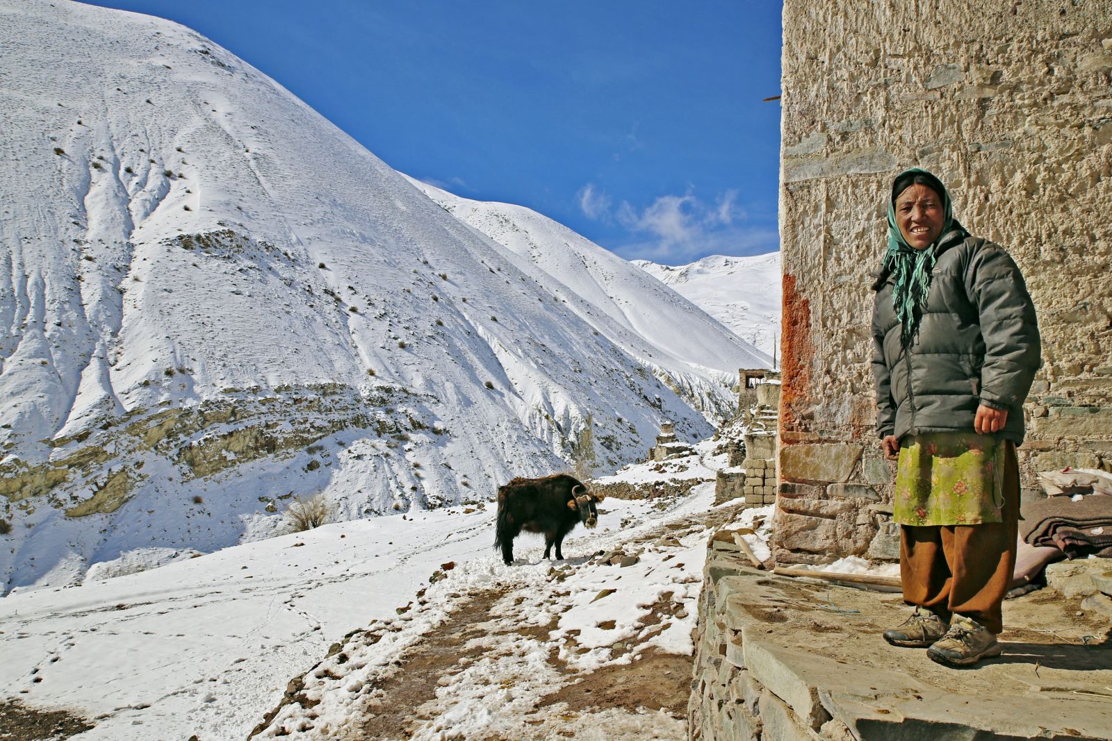 Nomadin in Ladakh
