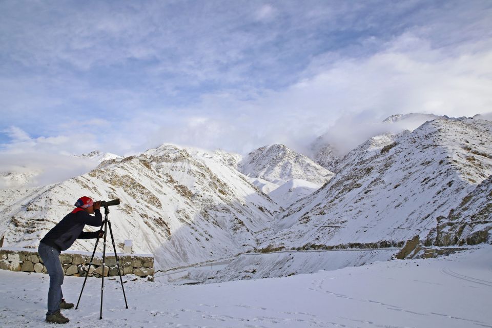 Schneeleopardenprisch in Ladakh