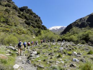 Wandern durch die Sierra Nevada