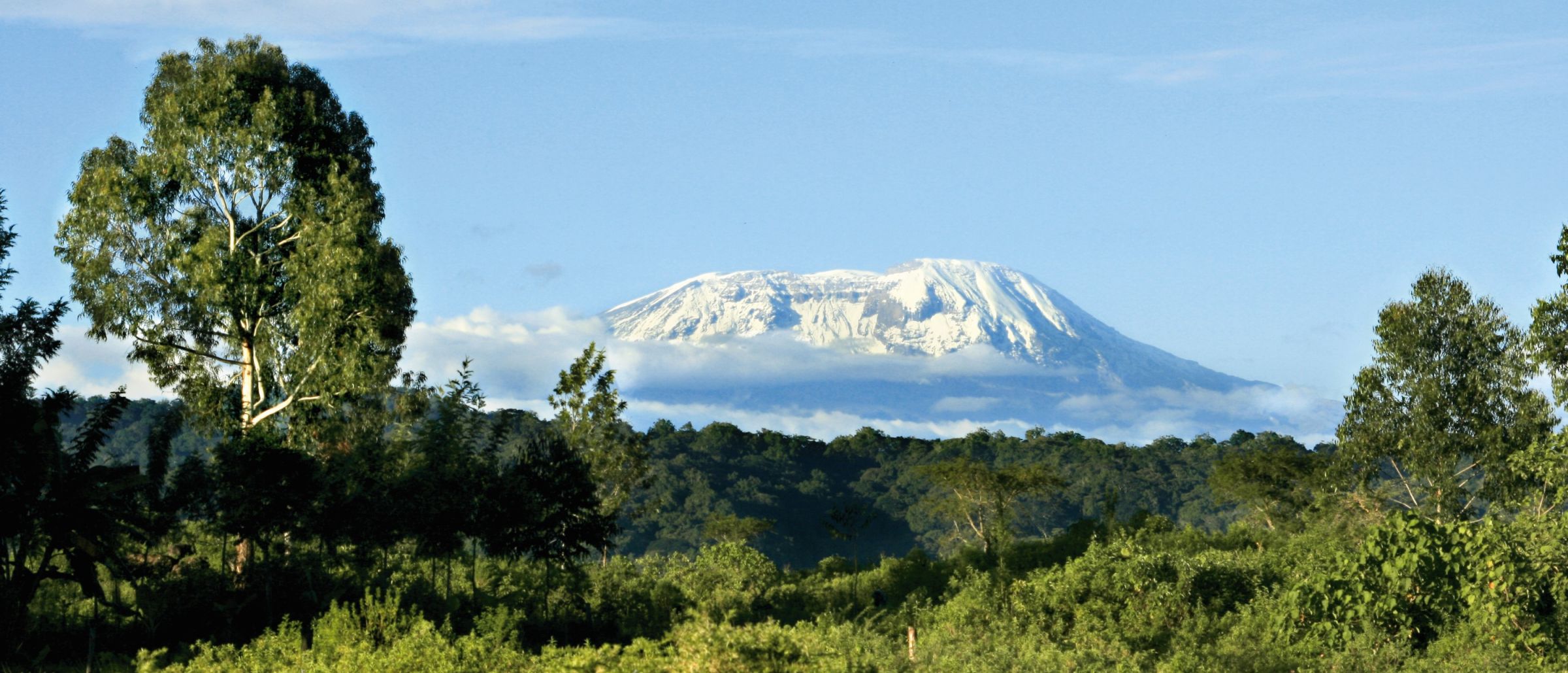 Arusha NP mit Kilimanjaro im Hintergrund