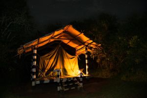 Mburo NP Tented Camp