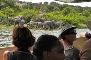 Elefanten am Kazinga-Kanal