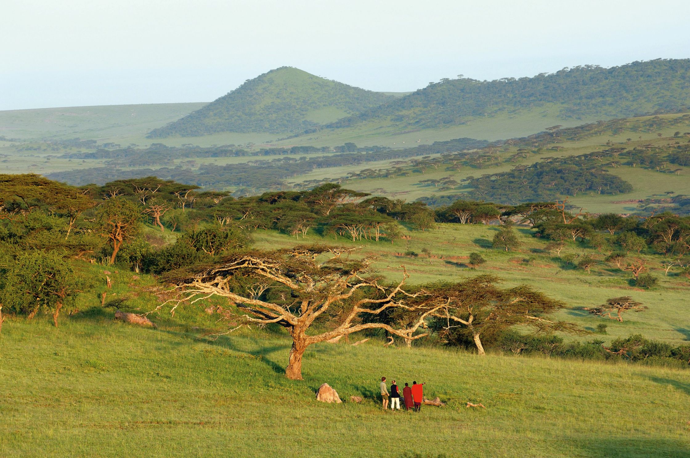 Острова юго восточной африки. Восточная Африка Танзания. Килиманджаро Восточно-Африканская рифтовая Долина. Сафари Юго-Восточная Африка. Восточная Африка природа.