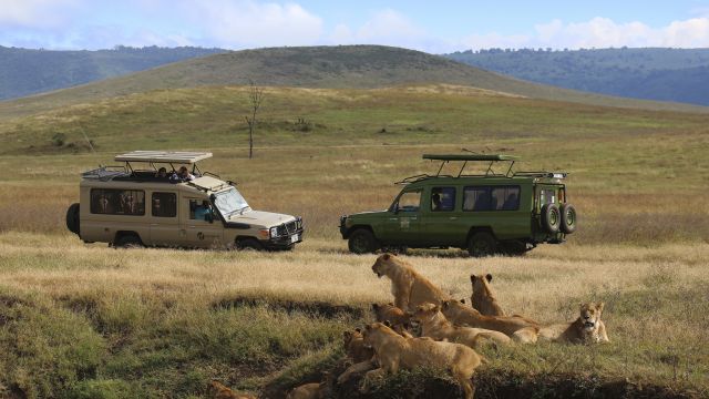 Auf Safari im Ngorongoro-Krater