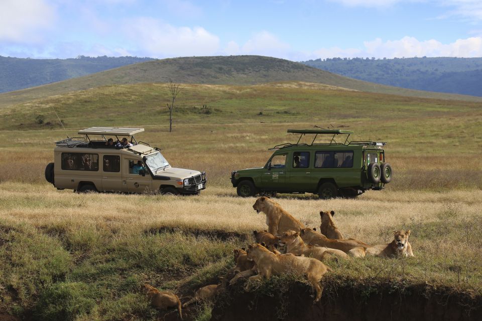 Auf Safari