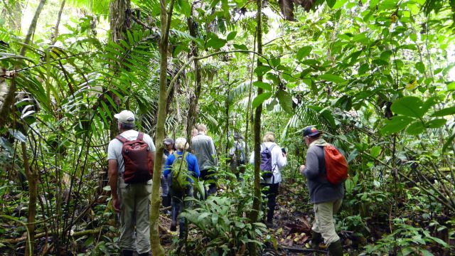 Entdeckungstour im Dschungel des Cuyabeno-Nationalparks